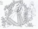Embroidery Transfers Patterns Ebay Vintage Iron Webster Crinoline Sheets Lady Sue Visit Paper A4 sketch template