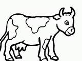Coloring Skinny Fat Cows sketch template
