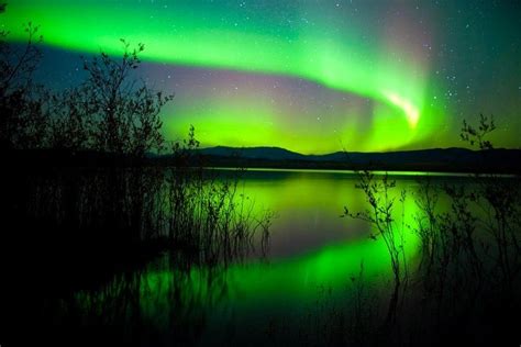 aurora borealis       northern lights
