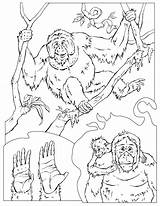 Coloring Pages Chimpanzee Orangutan Jane Goodall Drawing Wildlife Printable Habitat Forest Color Kids Animal Getcolorings Coloringbay Imagination Getdrawings Coloringhome Popular sketch template
