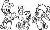 Animaniacs Wecoloringpage Warner sketch template