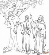 Jesus Coloring Zacchaeus Meets Pages Printable Tree Fig Zaccheus Bible Kids Supercoloring Para Color Colorear Sheets Door Knocking Loves Print sketch template