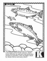 Salmon Coloring King Book Fishing Getdrawings Drawing sketch template