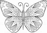 Colorat Mandale Copii Istockphoto Ornamental Moth Despre Planse Tiere Artículo Illustrationen Vektorgrafiken sketch template