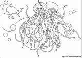 Coloriage Jellyfish Requin Colorat Desene Rechini Squali Planse Povesti Handcraftguide Colorir Medusa Undersea sketch template