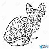 Sphynx Katze Einfarbige Gezeichnete Dello Gatto Monocromatica Vettore Disegnata Mano sketch template