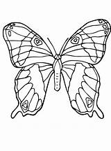 Vlinders Kleurplaat Schmetterlinge Vlinder Malvorlage Stemmen Kleurplaatjes Stimmen sketch template