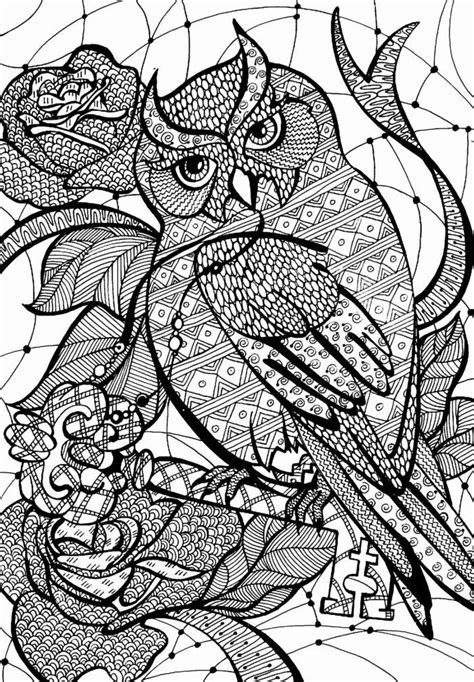owl zentangle coloring page owl coloring pages adult coloring books