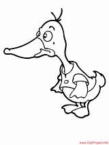 Goose Cartoon Color Coloring Sheet Title Coloringpagesfree Farm Pages Next sketch template