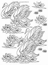 Coloring Pages Lotus Painting Amazon Adult Designs Fabric Printable Sheets Colouring Glass sketch template