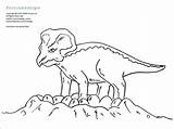 Protoceratops Coloring Dinosaur Sheets Zoom sketch template