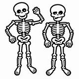 Skeleton Coloring Pages Skeletons Human Face Kids Drawing Print Halloween Skulls Easy Skull Color Skeletal System Body Toddler Para Colouring sketch template