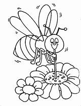 Coloring Pages Bee Honeycomb Honey Color Getcolorings Printable Beehive Bumblebee sketch template