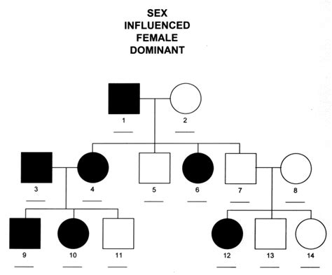 Sex influenced traits genetics
