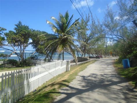Beautiful St Philip Barbados Caribbean Islands Barbados Saint Philip