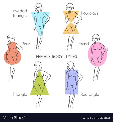 types  body shapes female shop discount save  jlcatjgobmx