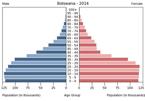 Botswana Age Structure Demographics