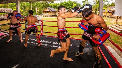 exotic holiday with muay thai training and boxing in thailand for your