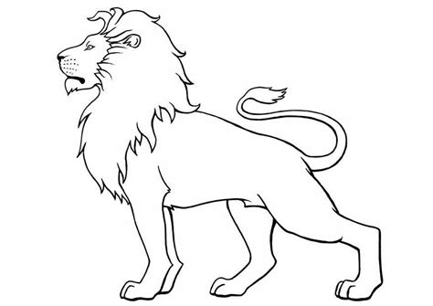 realistic lion coloring pages  getdrawings