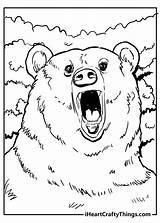 Angry Grizzly Iheartcraftythings sketch template