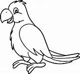 Coloring Pages Parrot Bird Animal Jungle Kids Animals Wecoloringpage Flower Printable sketch template