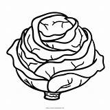 Repolho Repollo Cabbage Normal Pintar Colorironline Ultracoloringpages sketch template