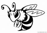 Bee Coloring4free Hive Abelha Bees Getdrawings Bumble Coloringsky Doghousemusic sketch template