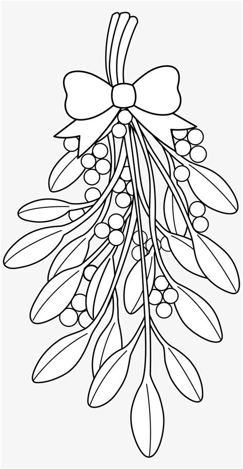 christmas holly coloring pages  drawing ubisafe mistletoe drawing