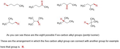 solved draw the eight possible five carbon alkyl groups pentyl isomers