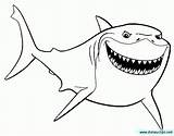 Nemo Coloring Finding Bruce Pages Shark Cartoon Clipart Disney Dory Printable Dibujo Colouring Google Colorear Para Tiburon ぬりえ Buscando Sheets sketch template