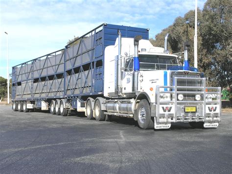 western star cattle truck cattle trucks pinterest cattle road