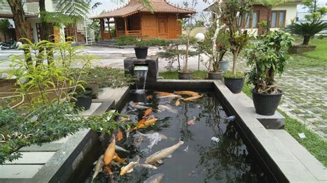 kolam ikan koi minimalis depan rumah joglo mudal halaman belakang