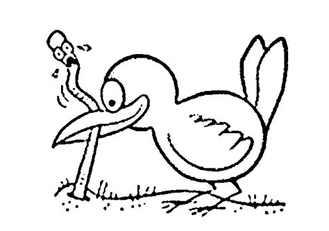 bird coloring pages  coloring kids