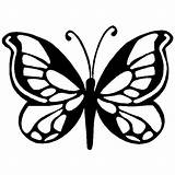 Butterfly Stencils Stencil Designs Clipart sketch template