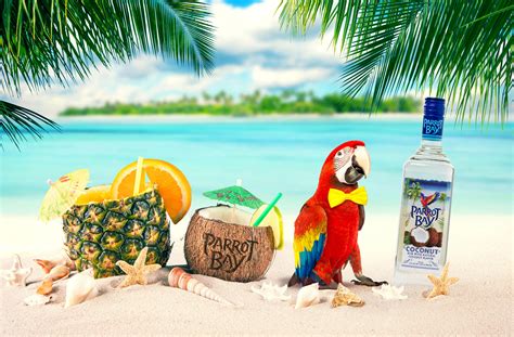 bae cation  parrot bay rum beverage industry