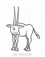 Oryx sketch template