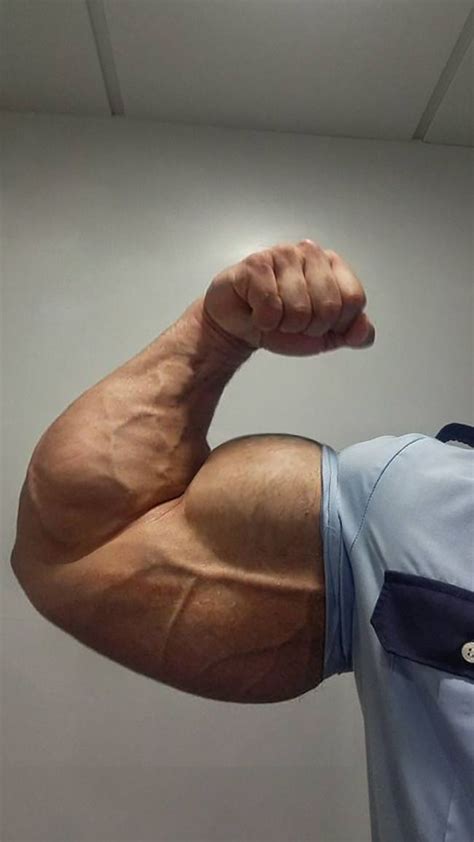 besten mighty biceps bilder auf pinterest grosse maenner und muskel