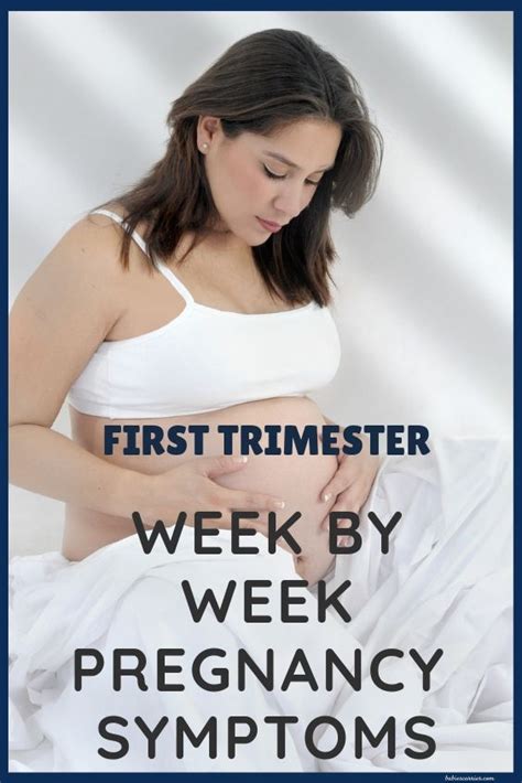 pin on first trimester week by week pregnancy