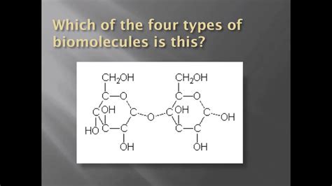 identify biomolecules structurally youtube