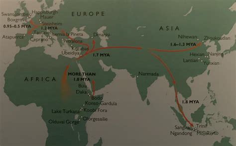 early hominin migration rmapporn