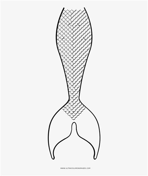 mermaid tail coloring page  art  png  pngkit