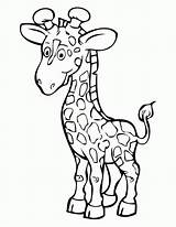 Giraffe Coloring Tall Pages Cute Printable Giraffes sketch template