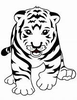 Tiger Cute Coloring Pages Baby Getcolorings Frank sketch template