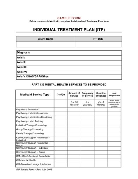 treatment plan templates excel  formats