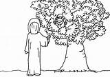 Coloring Zacchaeus Pages Jesus Saw Zaccheus Printable Clipart Clip Colouring Tree Library Popular Luke Zacheus Getcolorings Coloringhome Kids Getdrawings Color sketch template