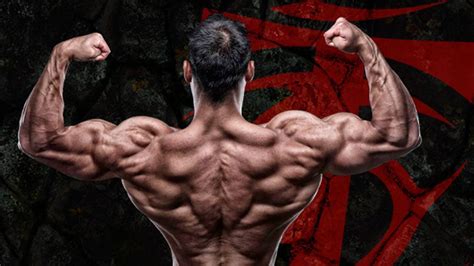 methods  developing strength  maximum muscle growth training