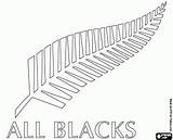 Rugby Fern Blacks Coloring Pages Printable Emblem Silver Logo Team Zealand Leaf Template Ferns National Oncoloring sketch template