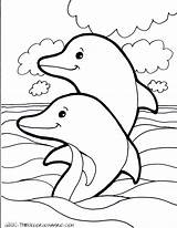 Dolphin Coloring Pages Print Getcolorings sketch template