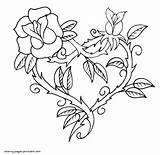 Coloring Pages Roses Heart Printable Rose Hearts Valentine Drawing Para Colorir Fancy Coração Valentines Adult Colouring Desenho Print Desenhos Rosas sketch template