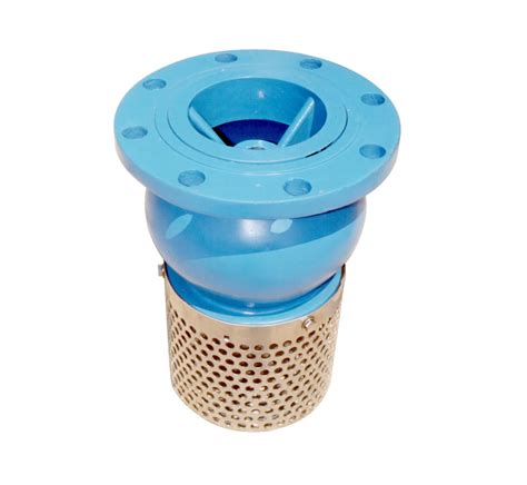 cast iron water pump foot check valve  long strainer screen filter foot valve buy cast